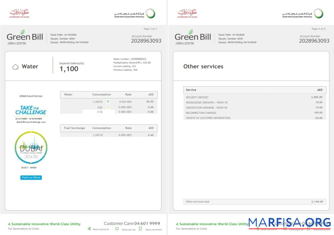 Blank UAE Dubai Electricity & Water Authority utility bill template in Word and PDF format (4 pages) 3 4